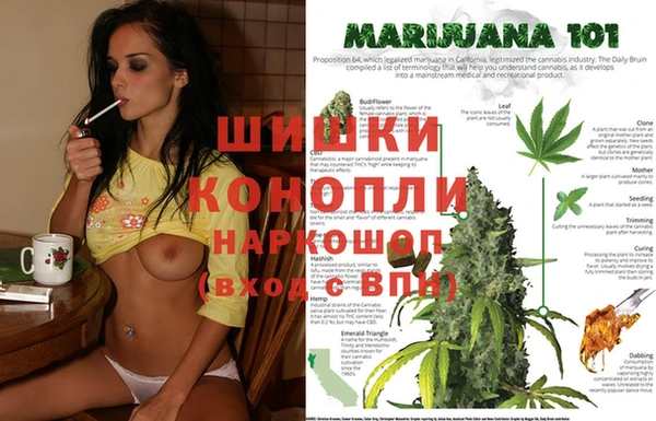 не бодяженный Михайлов