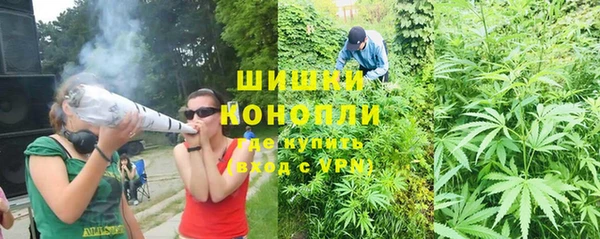 не бодяженный Михайлов