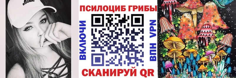 Псилоцибиновые грибы Magic Shrooms  Купить где  Тутаев 