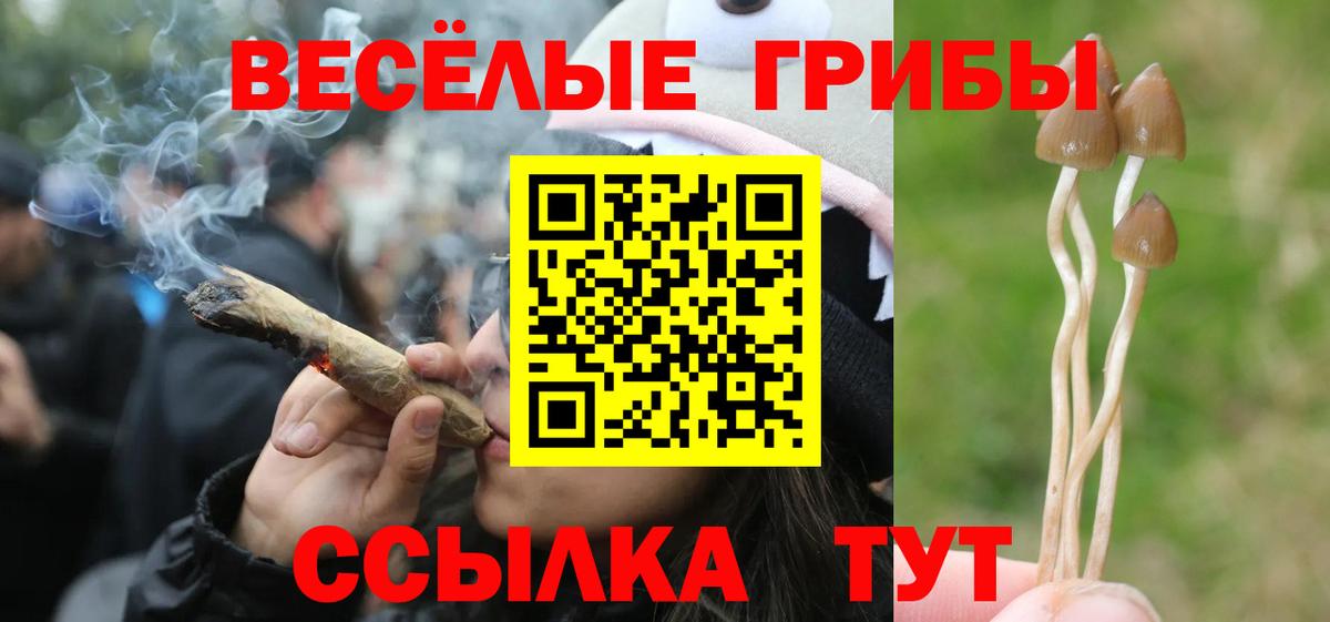 Галлюциногенные грибы Cubensis Тутаев